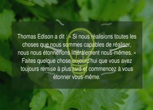 Réalisez vos rêves maintenant